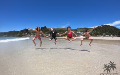 Boat Harbour Beach, Tas