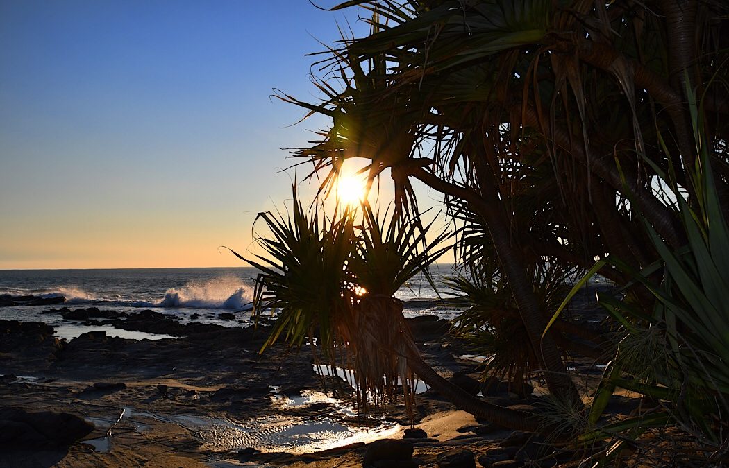 Woody Head, NSW