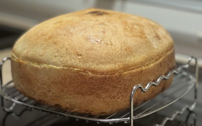 Karen’s Sourdough Bread Using Thermomix & Air Fryer