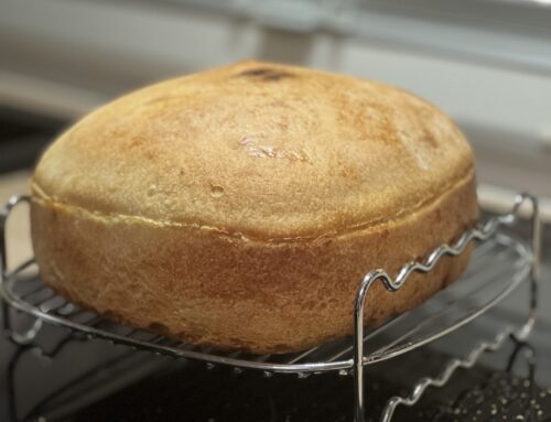 Karen’s Sourdough Bread Using Thermomix & Air Fryer
